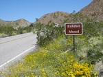 southern Joshua Tree 11 exhibit sign 3-17 - Copy.JPG